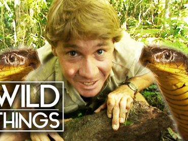 Steve Irwin: The Ten Deadliest Snakes In The World