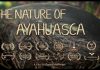 The Nature of Ayahuasca