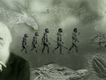 What Darwin Never Knew