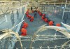 Gitmo: The New Rules of War