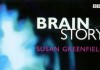 The Brain Story