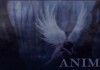 ANIMA